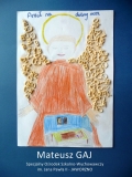 Mateusz Gaj