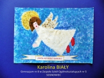 Biały Karolina
