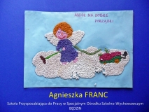 Franc Agnieszka