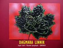 RKP-AN 2017 - Linnik Dagmara