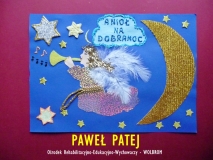 RKP-AN 2017 - Patej Paweł